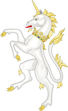 Fototapeta Unicorn  Vector graphic image of a unicorn.