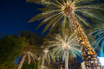 Fototapeta premium Boże Narodzenie ozdoba tło palmy