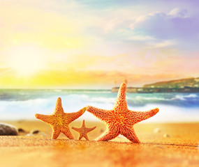Naklejka na ściany i meble Family of starfishes on the summer beach