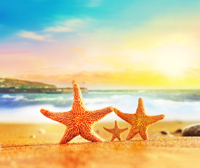 Fototapeta na wymiar Family of starfishes on the summer beach