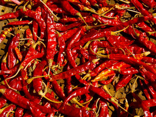 Dry red chili