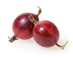 Gooseberries isolated on white background