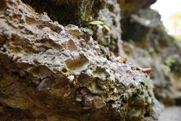 stone conglomerate of gravel, clasts and pebbles