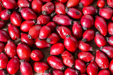 sweetbrier berries red background
