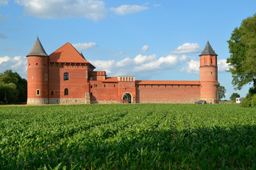 Zamek królewski w Tykocinie, Polska - obrazy, fototapety, plakaty