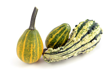 three decorative mini pumpkins