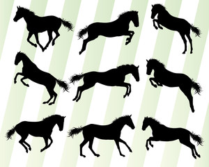 Wild horse fast and strong winner set concept vector