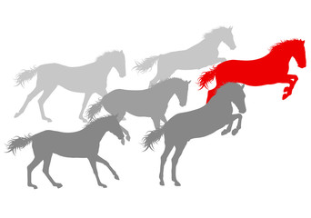 Wild horse fast and strong winner concept vector background isol