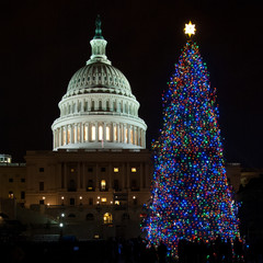 U.S. Capitol Christmas Tree