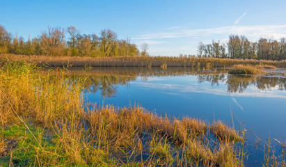 The shore of a sunny lake in autumn
