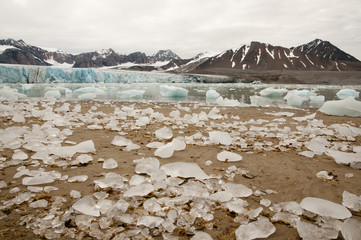 Fototapeta na wymiar July 14 Glacier - Spitsbergen - Svalbard