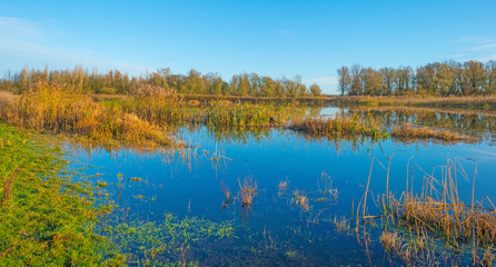 The shore of a sunny lake in autumn
