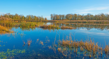 The shore of a sunny lake in autumn
