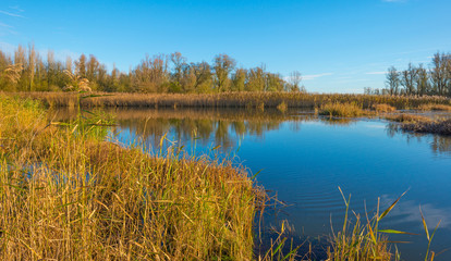 The shore of a sunny lake in autumn
