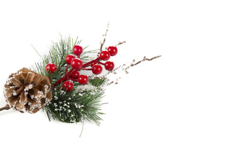 Christmas twig and berries on a white background