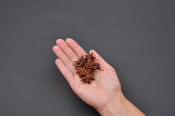 Hand of a woman holding a pile of anise isolated on black backgr