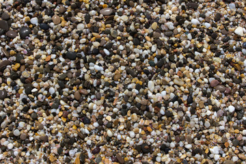Wet sea stones texture