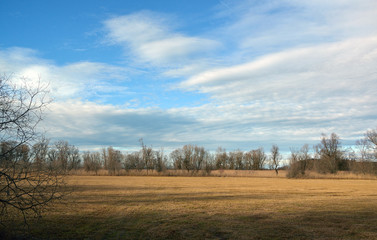 Obraz premium Alpenvorland