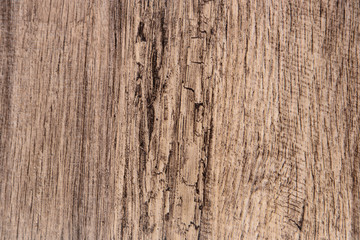 Wood background texture