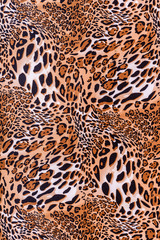 texture of print fabric striped leopard