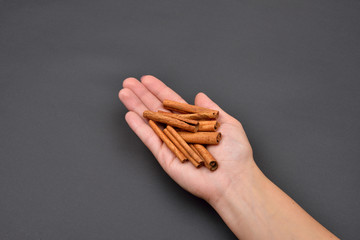 Hand of a woman holding a pile of cinnamon pods isolated on blac