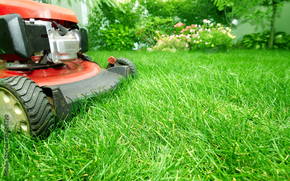 Wall mural Lawn mower.