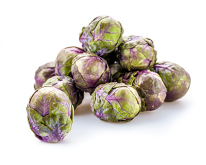 Obraz premium Violetter Rosenkohl