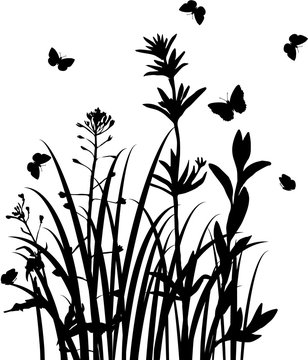 vector silhouettes of wild herbs and flowers
