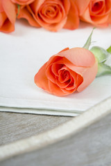bouquet of roses on a white napkin