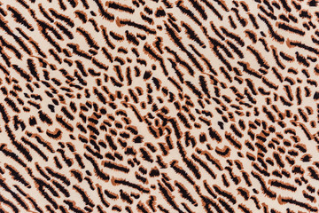 texture of print fabric striped leopard