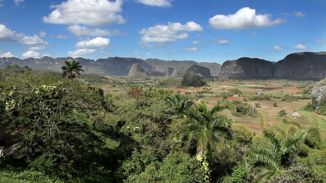 Cuba. Tropical nature of Vinales Valley.