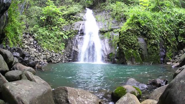 Waterfall in Tropical Jungle