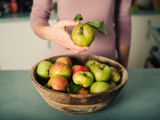 Female hand holding an apple