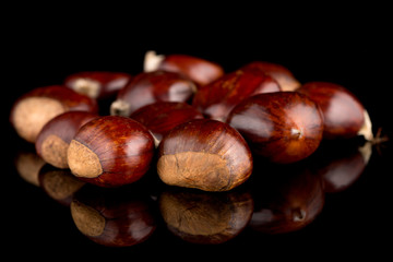 Fototapeta premium Chestnuts on a black reflective background