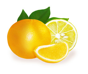 Orange and lemon with green leaves