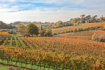 Fototapeta na wymiar countryside of Emilia Romagna, Italy