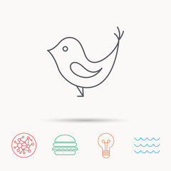 Bird with beak icon. Social media concept sign.