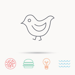 Bird icon. Chick with beak sign.