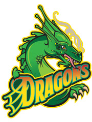 Dragons team mascot