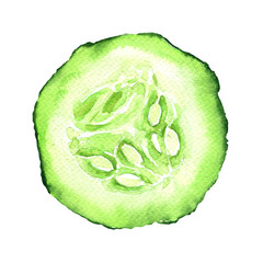 Fresh slice cucumber isolated on white background - 96537710