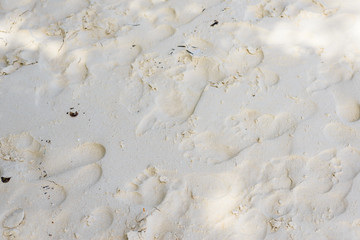 Footprint in the Sand