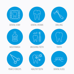 Fototapeta premium Stomatology, tooth and dental crown icons.