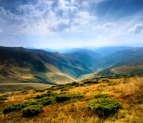 The majestic panorama of mountains Carpathian reserve. Europe
