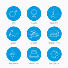 Fertilization, pregnancy and pediatrics icons.