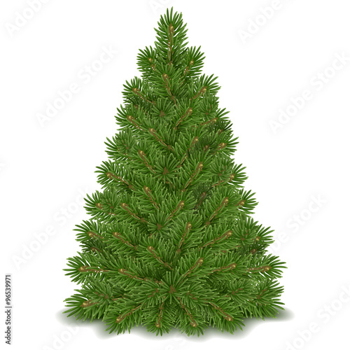 quot fluffy green christmas tree ready to decorating isolated quot fluffy green christmas tree ready to decorating isolated