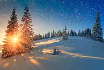 Papier Peint photo autocollant Hiver Vue sur les conifères enneigés et les flocons de neige au lever du soleil. Fond de joyeux Noël ou du nouvel an.