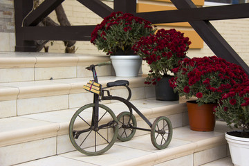 Fototapeta na wymiar Model of toy tricycle