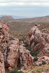 Red Rock Canyon National conservation area, Nevada, USA