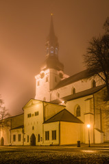 Fototapeta na wymiar The Cathedral of Saint Mary the Virgin in Tallinn (Dome Church), Estonia