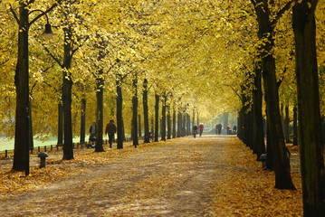 Promenade in Münster im Herbst - obrazy, fototapety, plakaty